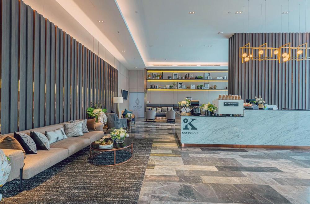 Foto - Siamese Exclusive Queens