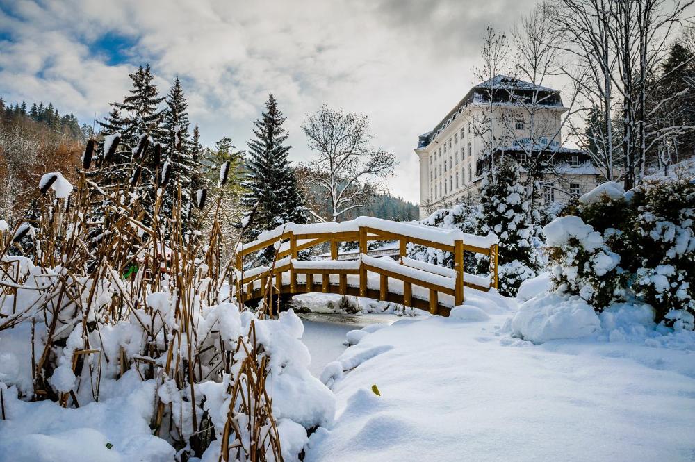 Photo - Hotel Radium Palace