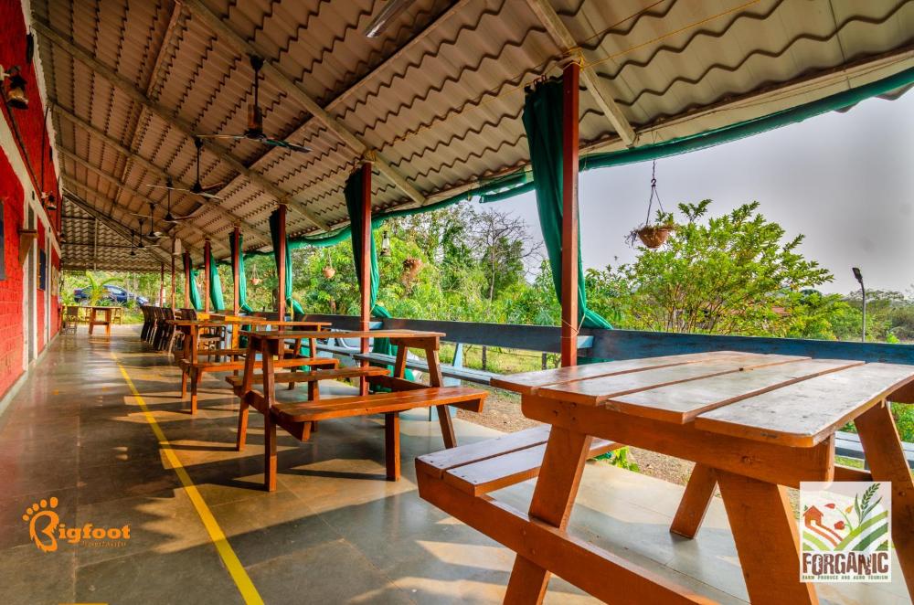 Bigfoot Stay - Forganic Farm and Agro Tourism
