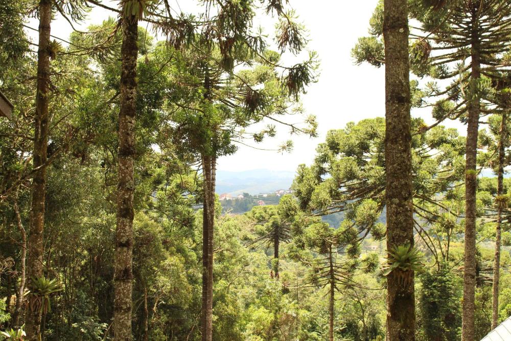 Photo - Casa de Campos Guest House