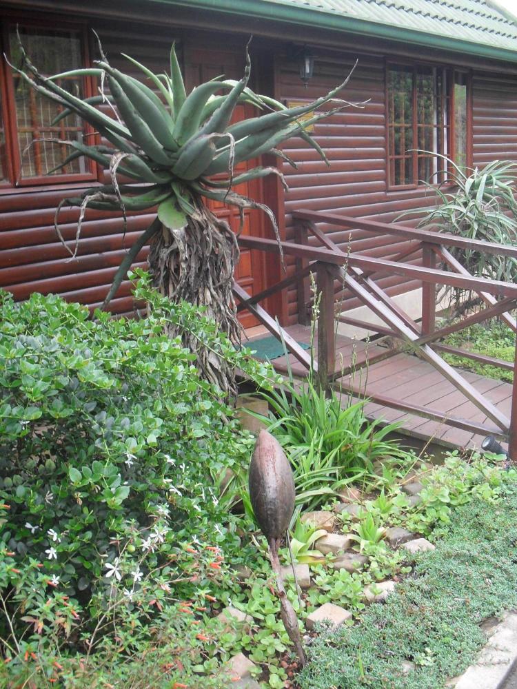 Aloe Ridge Self Catering And Bb Prices Photos Reviews - 