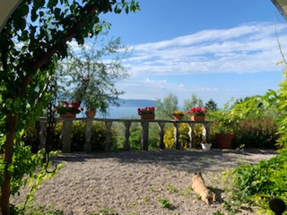 untagged