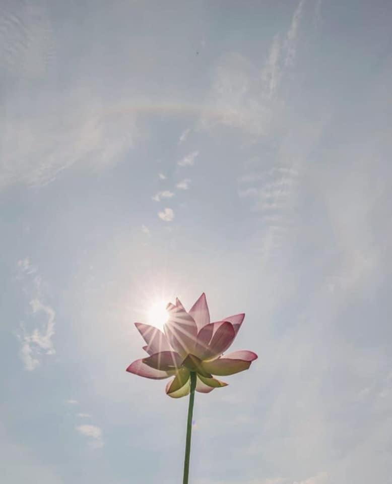 untagged