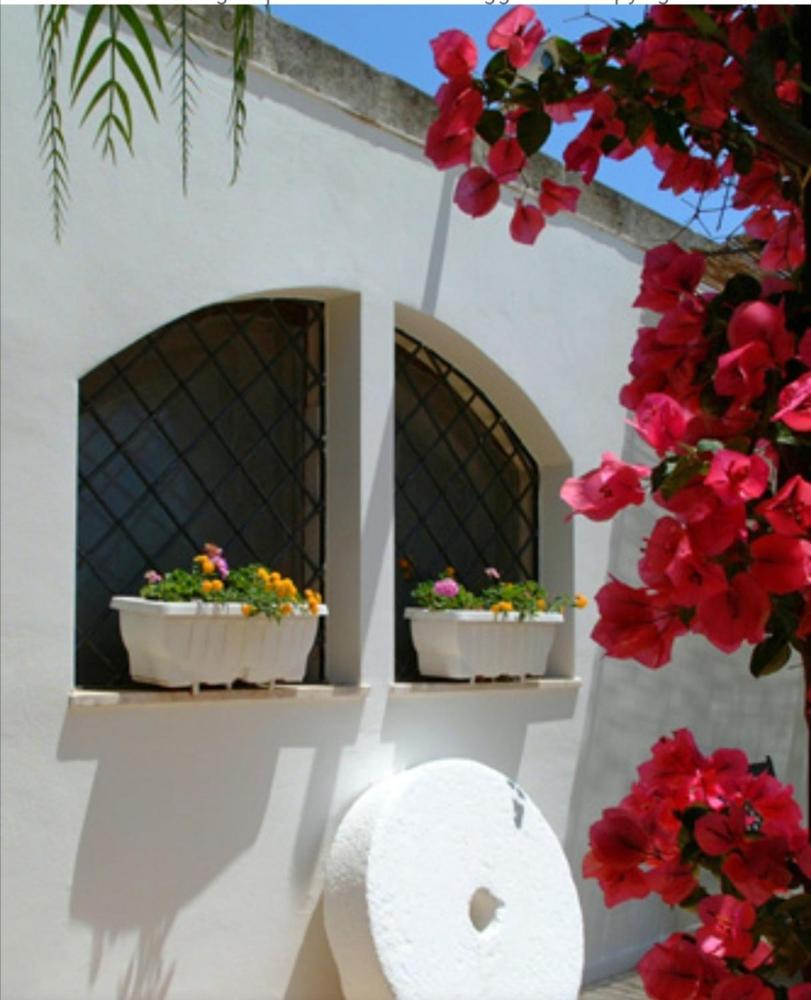 Foto - Room in BB - Spacious double room in ancient Masseria near the sea in a quiet olive trees