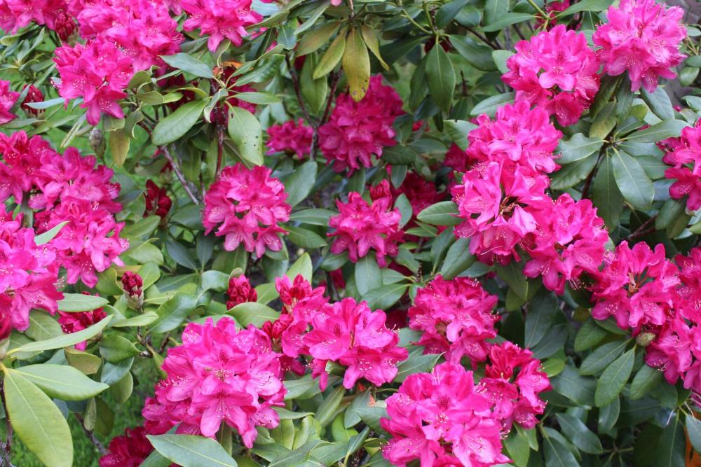 untagged