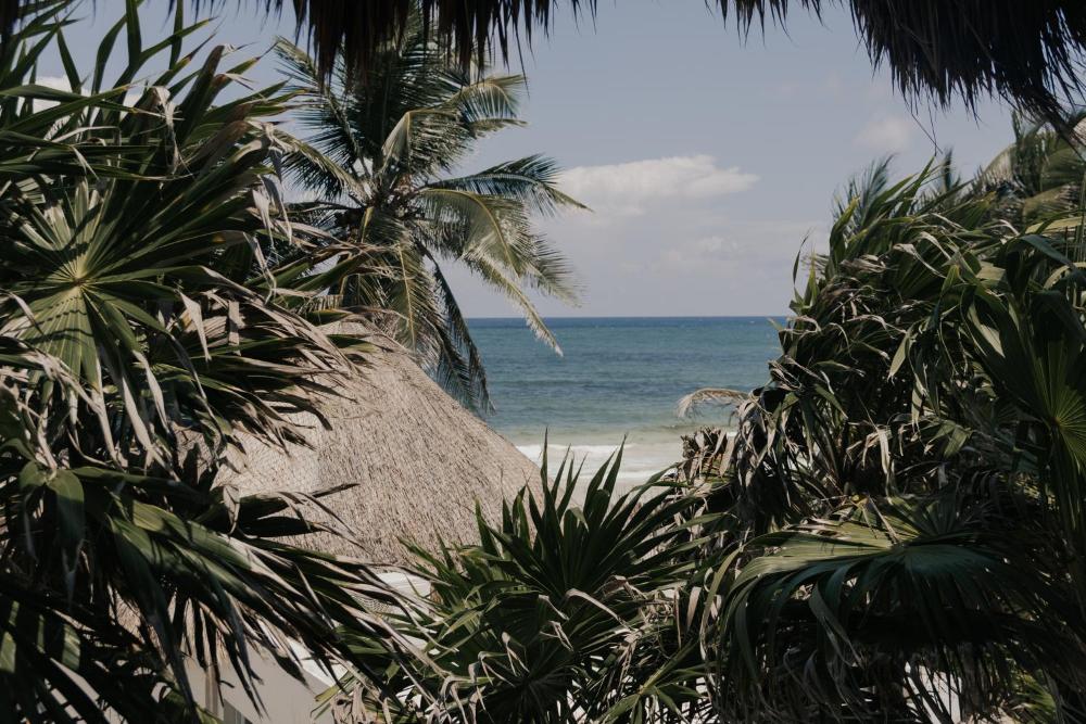 Foto - Tuup Tulum Oceanfront or road side rooms