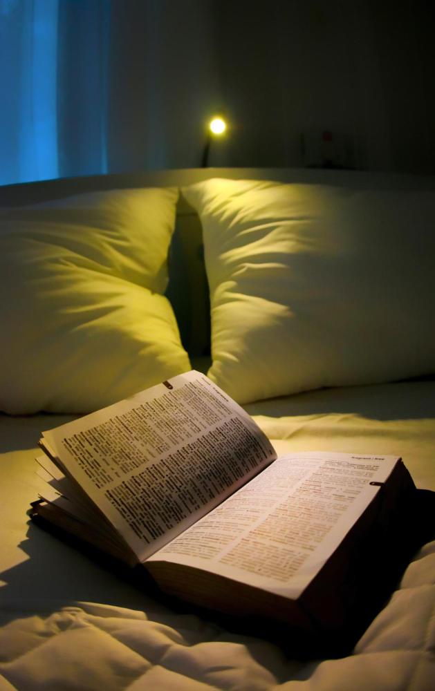 Room Image 3