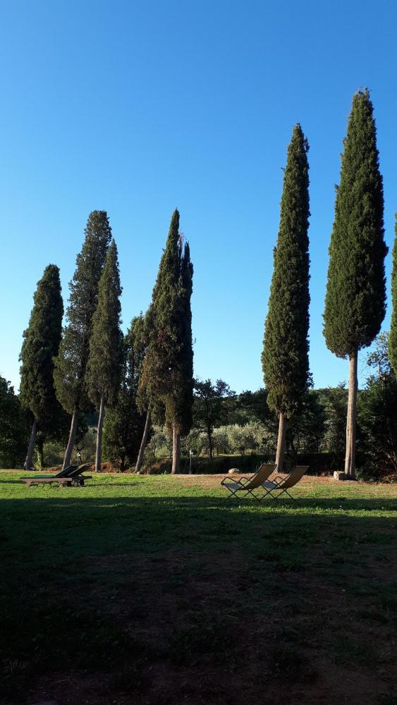 Photo - Podere Pievina Delle Corti - Dimora di Campagna