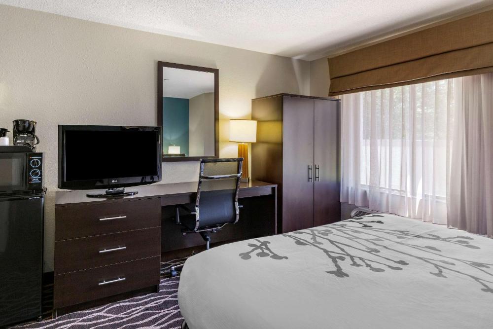 Room Image 4