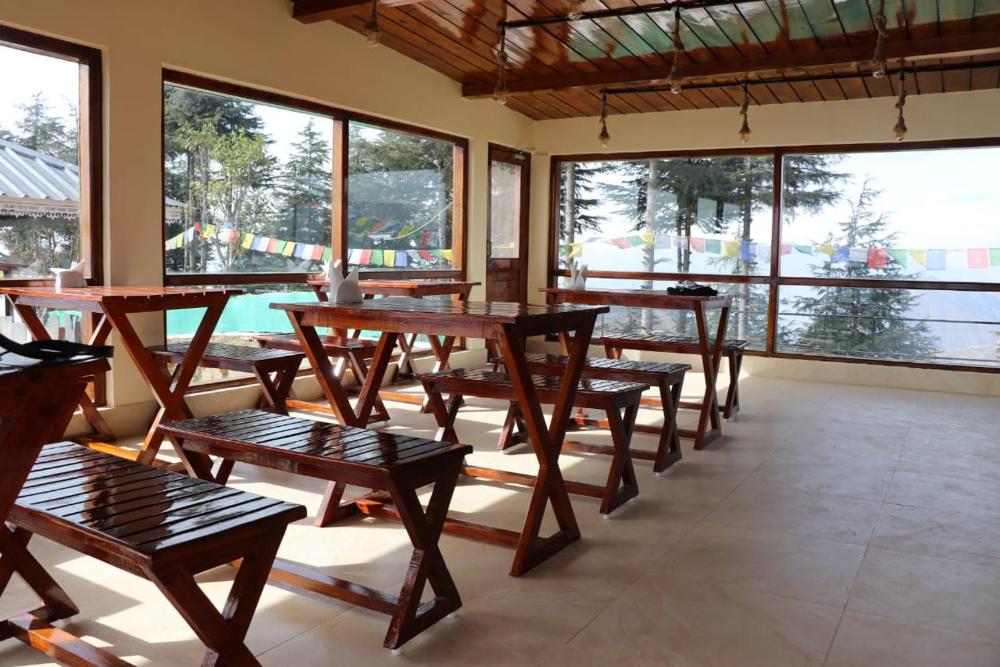 Pinaceae Resort