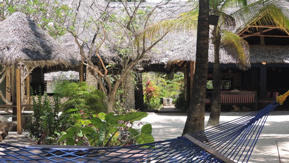 Foto - Paje by Night