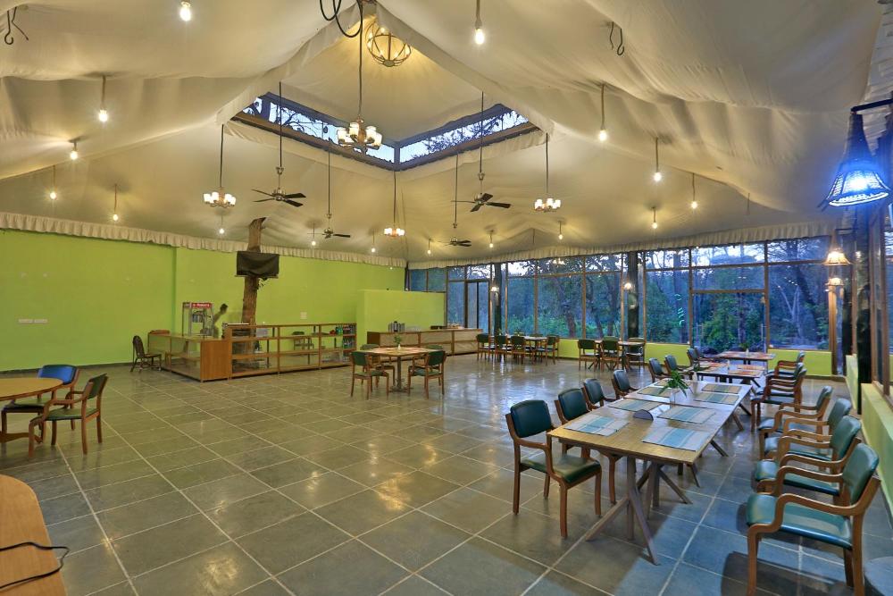 Bison Retreat - Pench