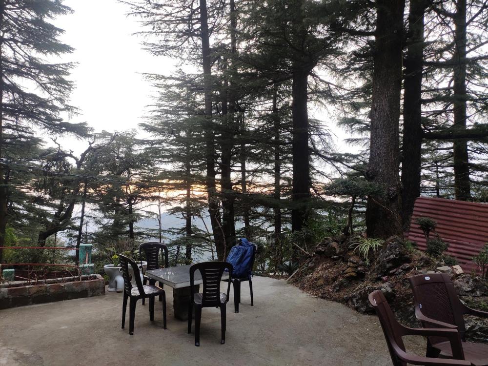 Shree Guest House