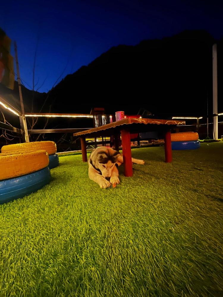 Nirvana by Oztel - Backpacker Hostel