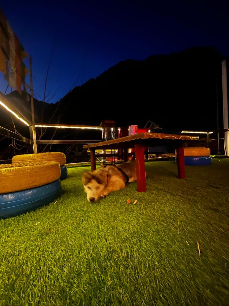 Nirvana by Oztel - Backpacker Hostel