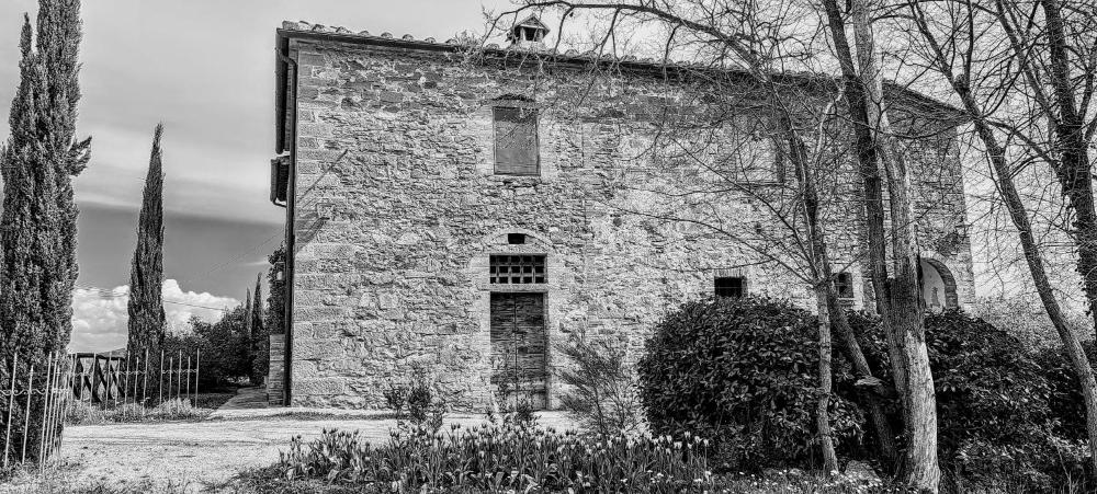 Foto - Podere Pievina Delle Corti - Dimora di Campagna