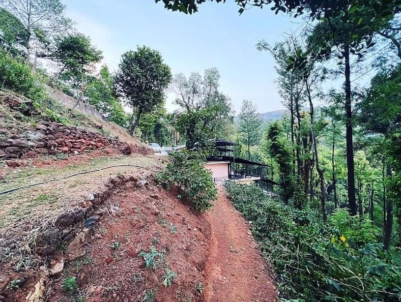 Cloud 9 Homestay