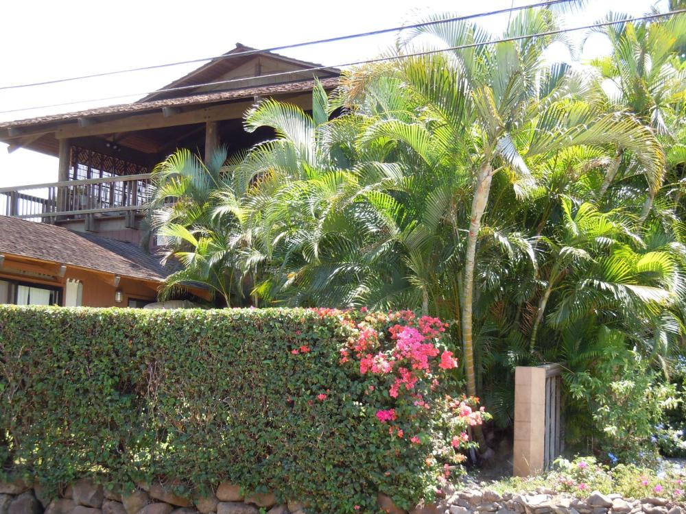 maui what a wonderful world b and b hawaii