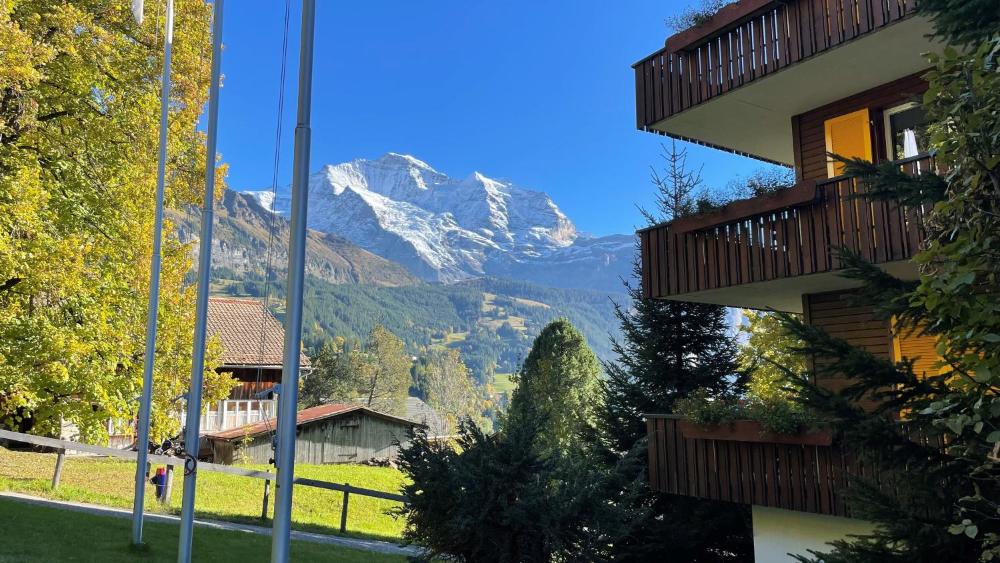 hotel bellevue traditional swiss hideaway