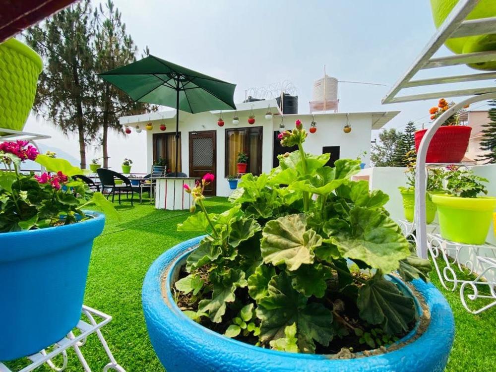 Sunrest Villa