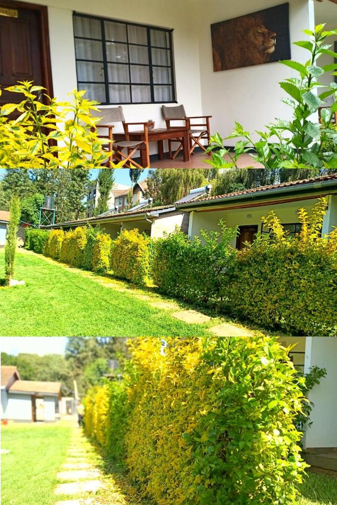 riverside villas nanyuki