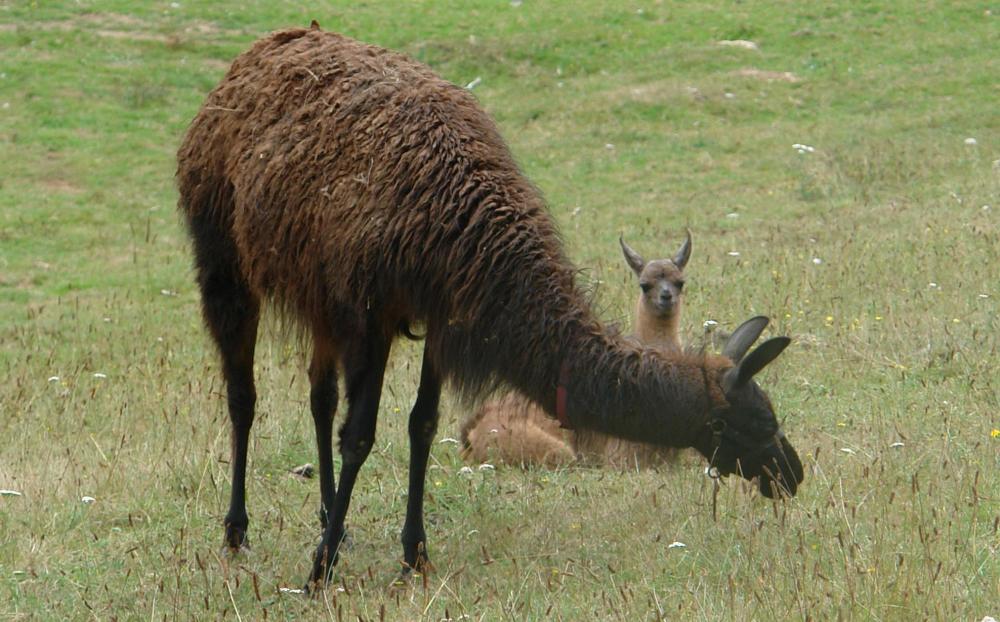 untagged