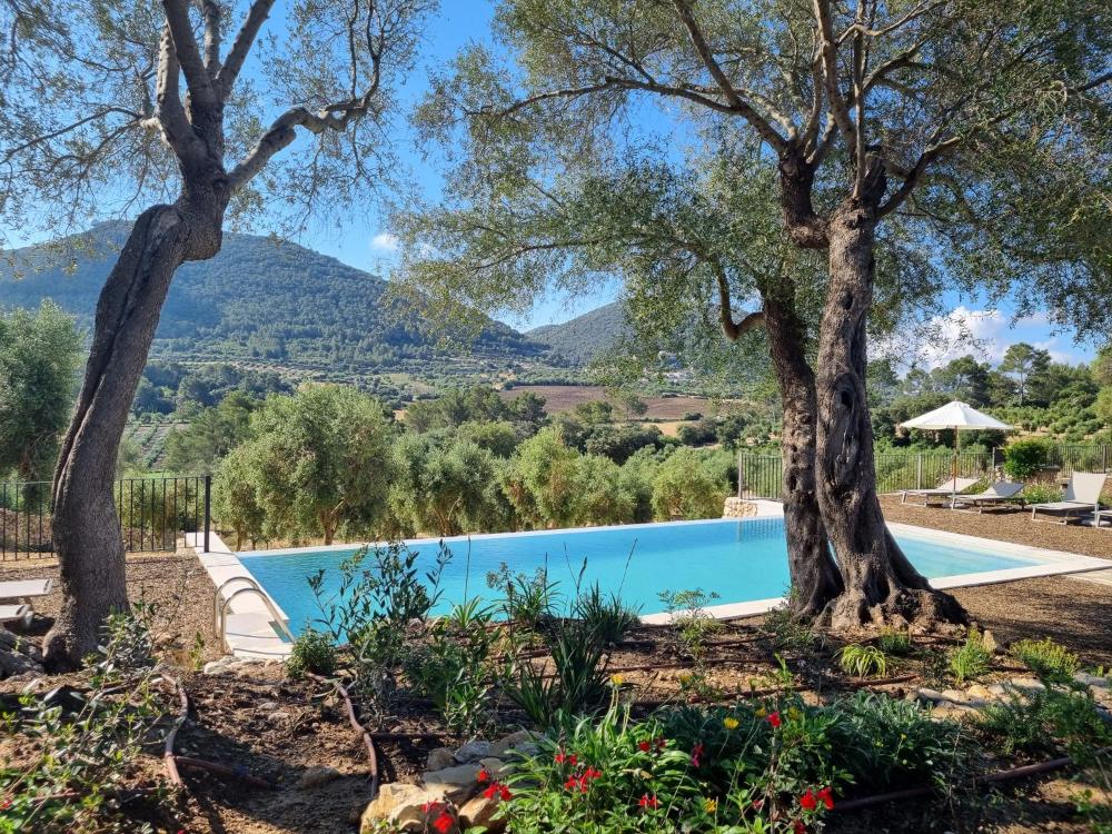 Photo - Finca Treurer - Olive Grove & Grand House - Adults Only