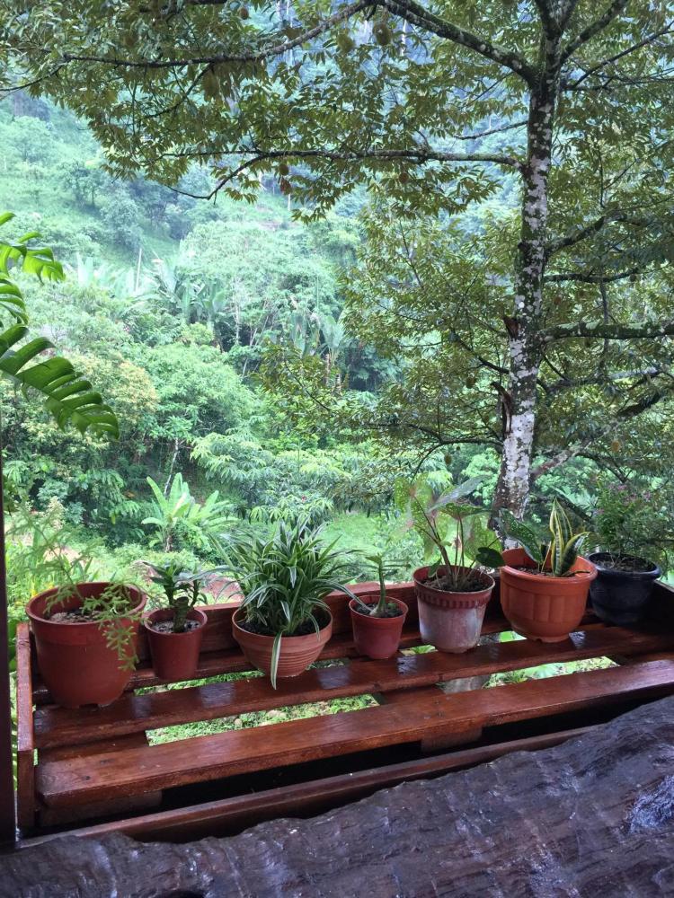 Amazing Feel In Plassid Prices Photos Reviews Address Malaysia