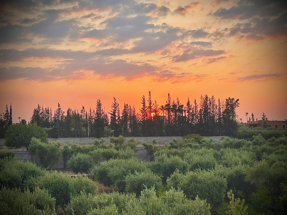 Foto - The Olives Sanctuary