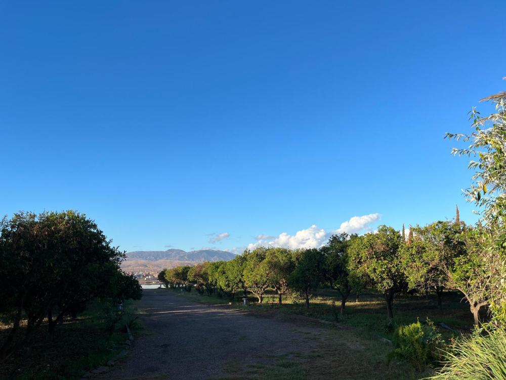 Foto - Tiguimi Vacances - Oasis Villas, cadre naturel et vue montagne