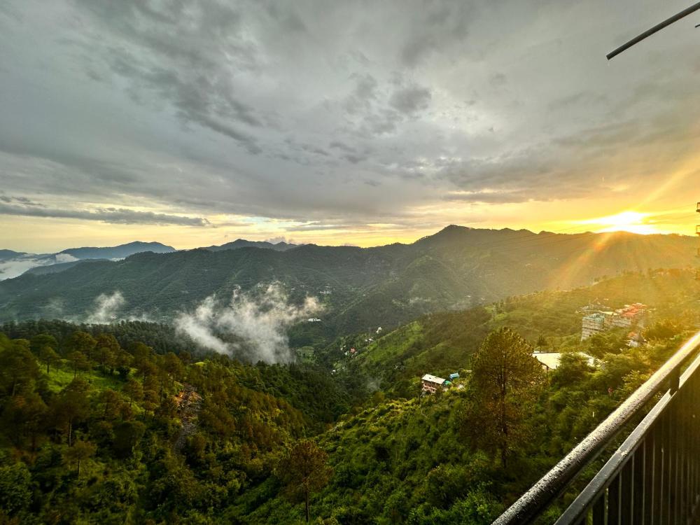 BEST NEST SHIMLA - Pure vegetarian 