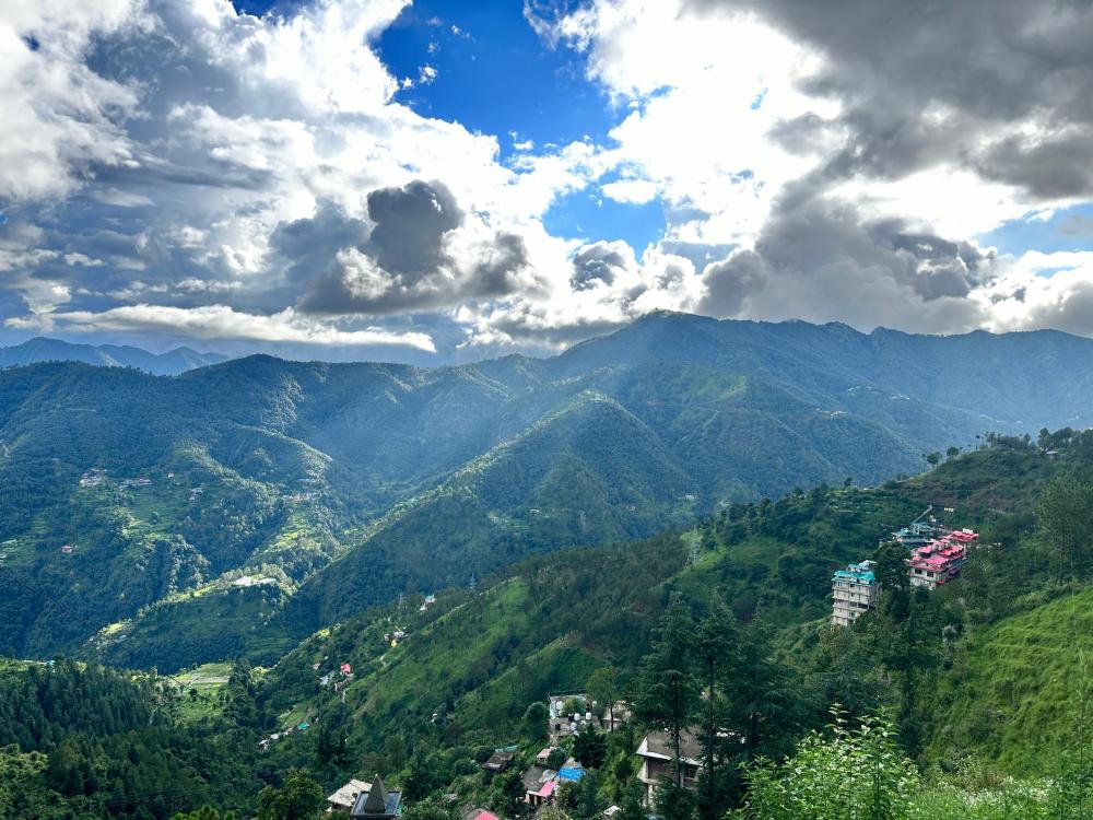 BEST NEST SHIMLA - Pure vegetarian 