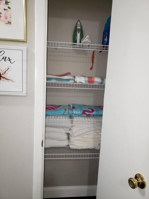 Private Pool House Rentals in Tampa for Winter Getaway (April 2024)