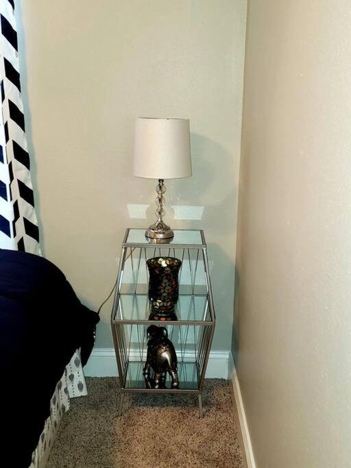 Private Pool House Rentals in Tampa for Winter Getaway (April 2024)