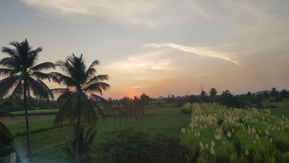 Padmaa Hampi Echo Villa