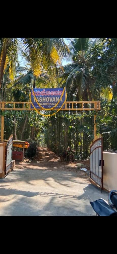 Yashovana Nature Stay Gokarna
