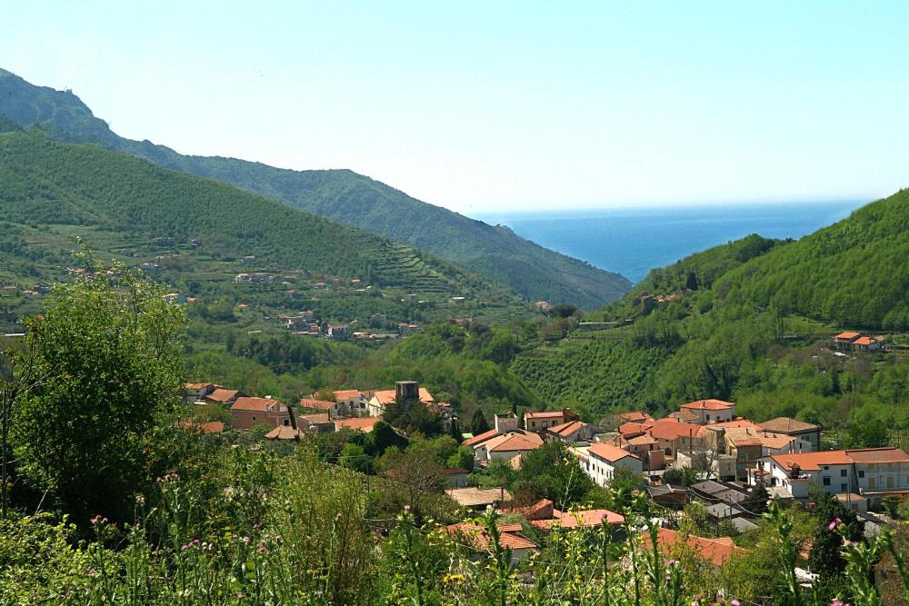 Foto - Farfalle E Gabbiani