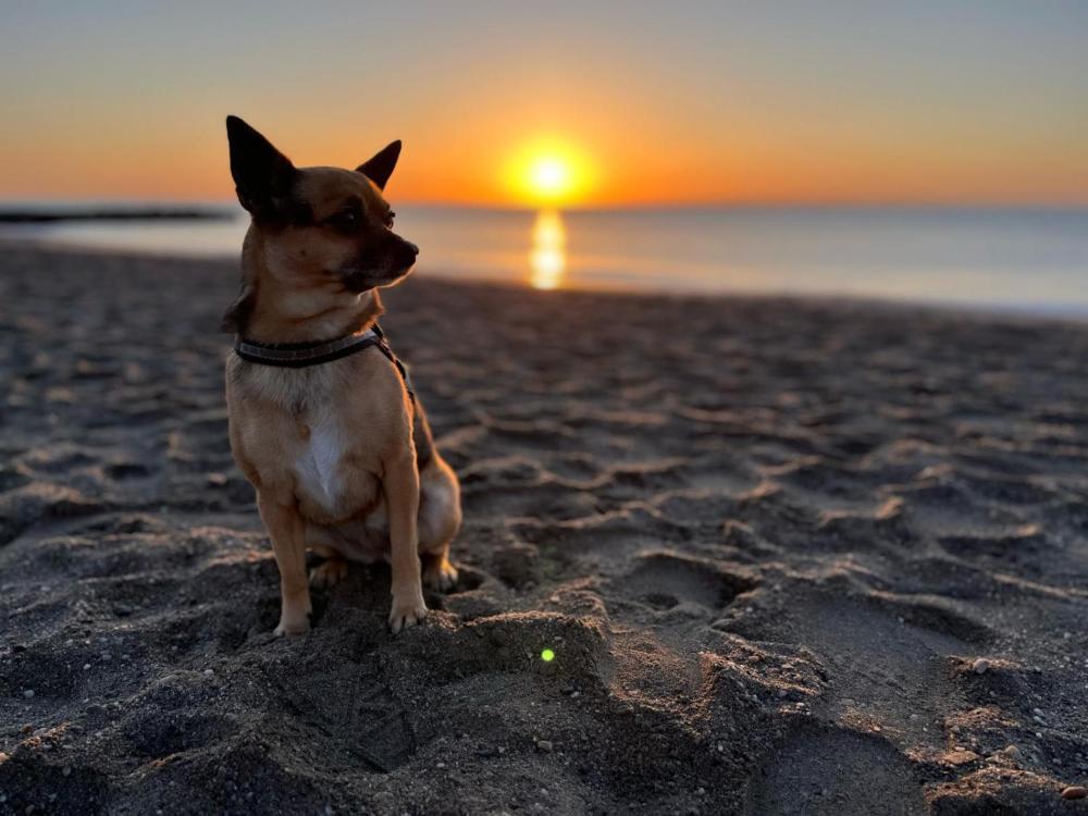 untagged