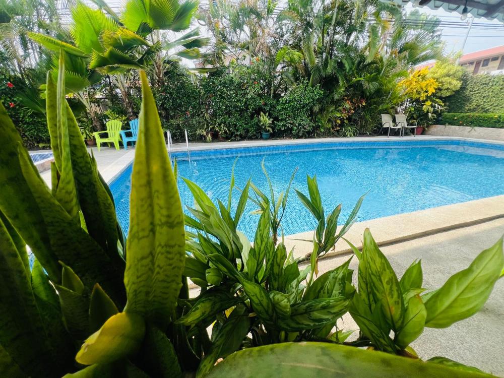 hotel cabinas el coral