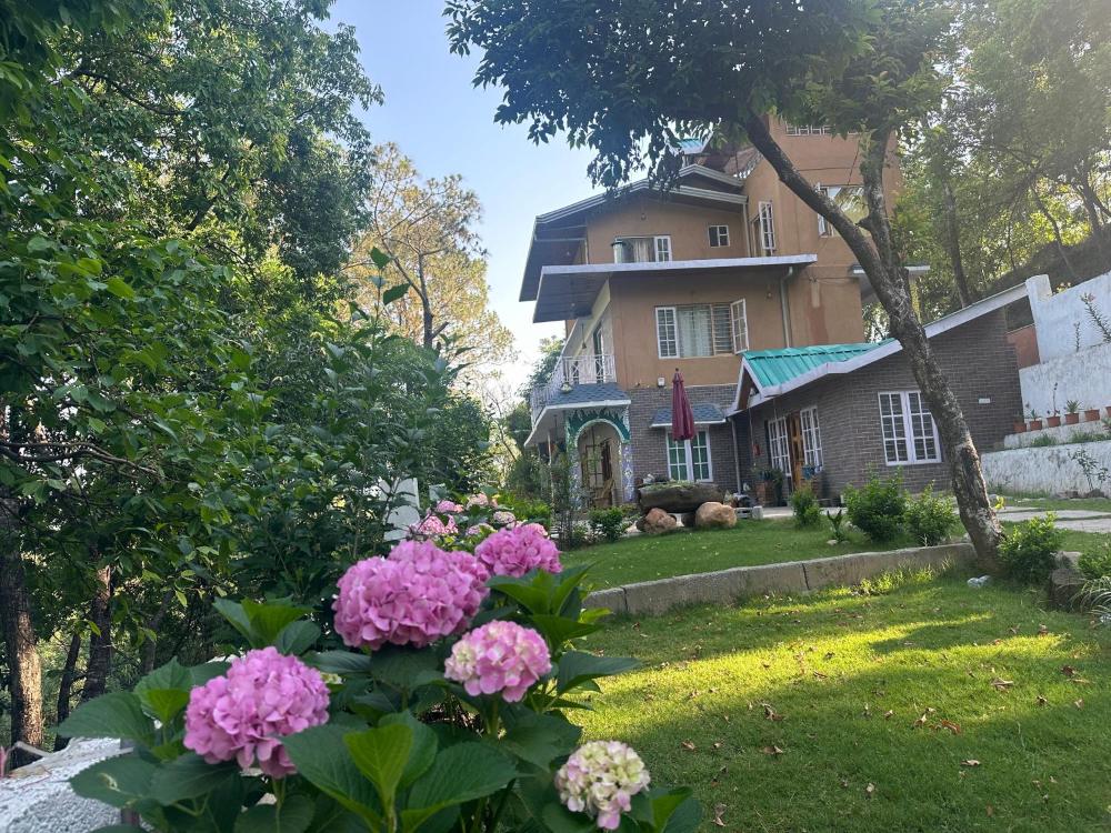 The KutHouse