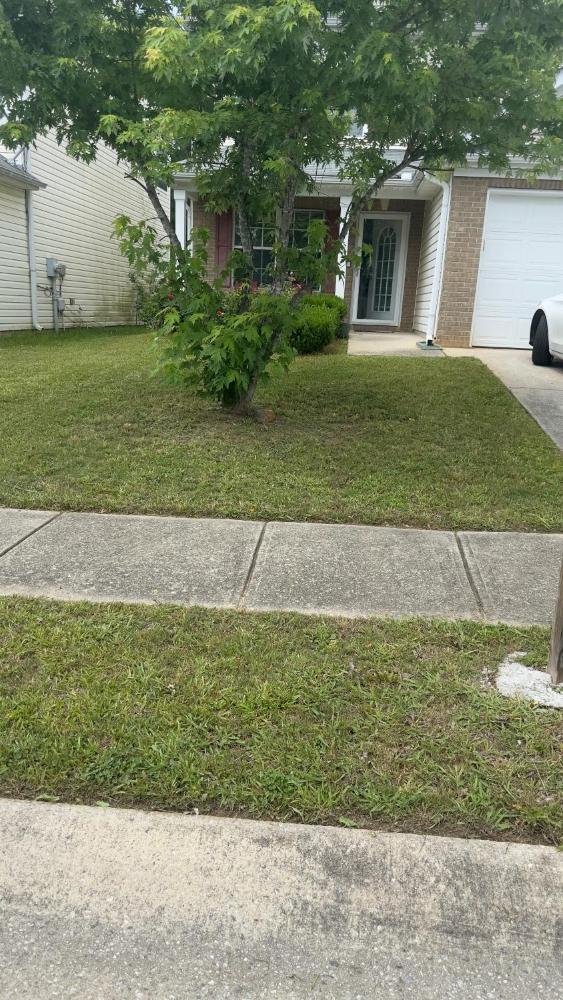 Efficient Car Rentals near Atlanta Airport for Scenic Drive (October 2024)