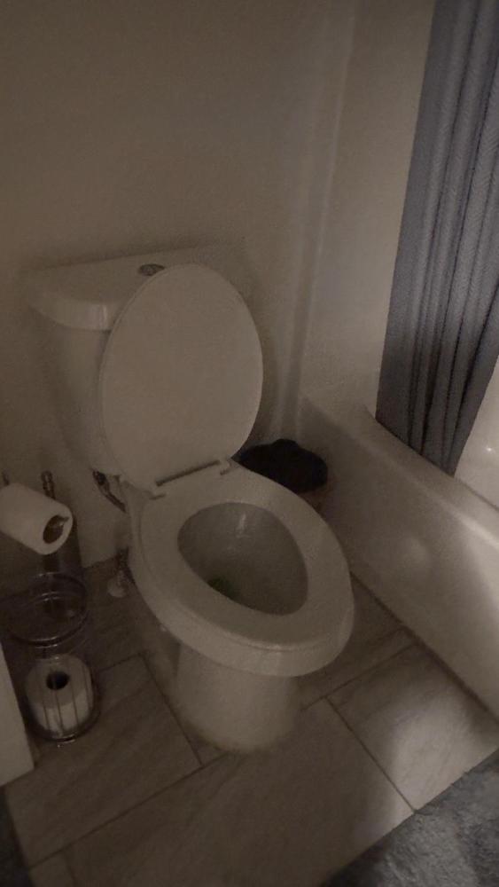 Efficient Car Rentals near Atlanta Airport for Scenic Drive (October 2024)