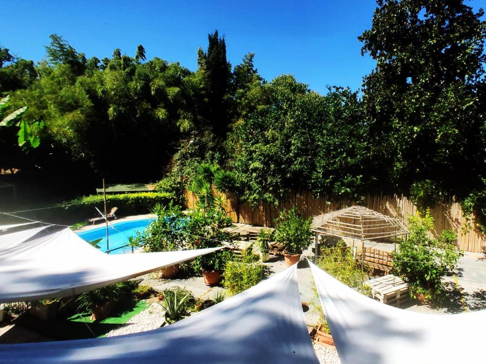 wiki hostel and greenvillage adults only