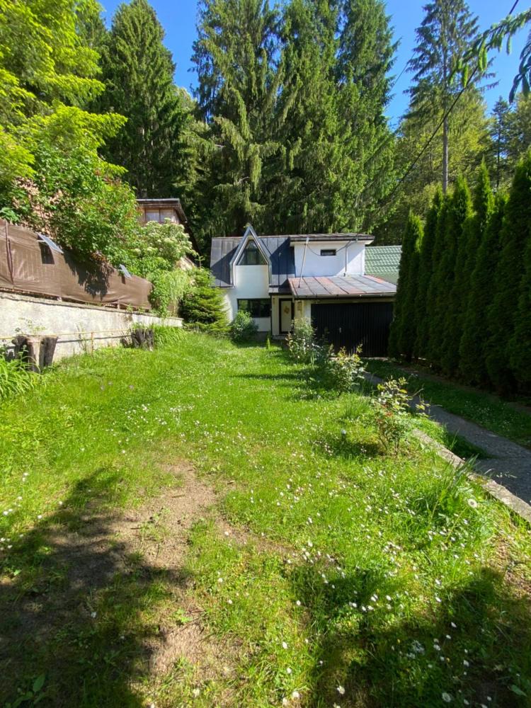 main