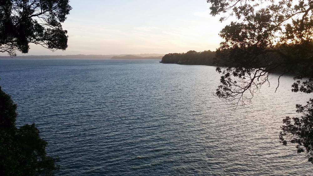 Photo - Auckland Clifftop