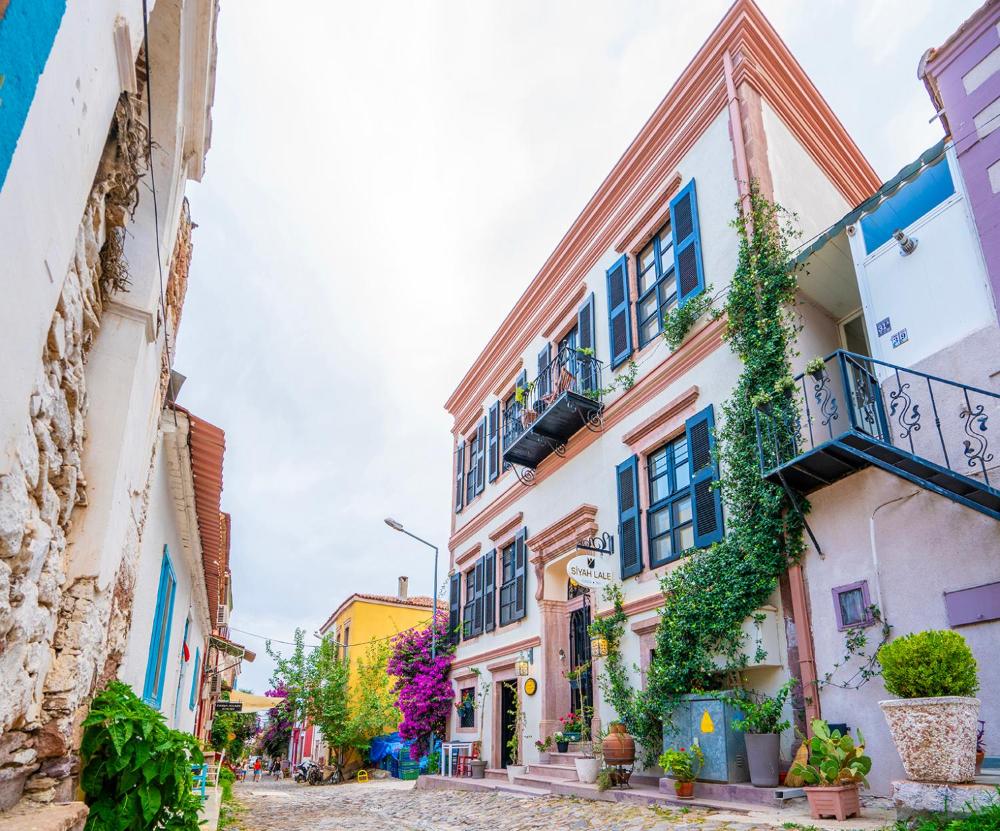 siyah lale otel cunda