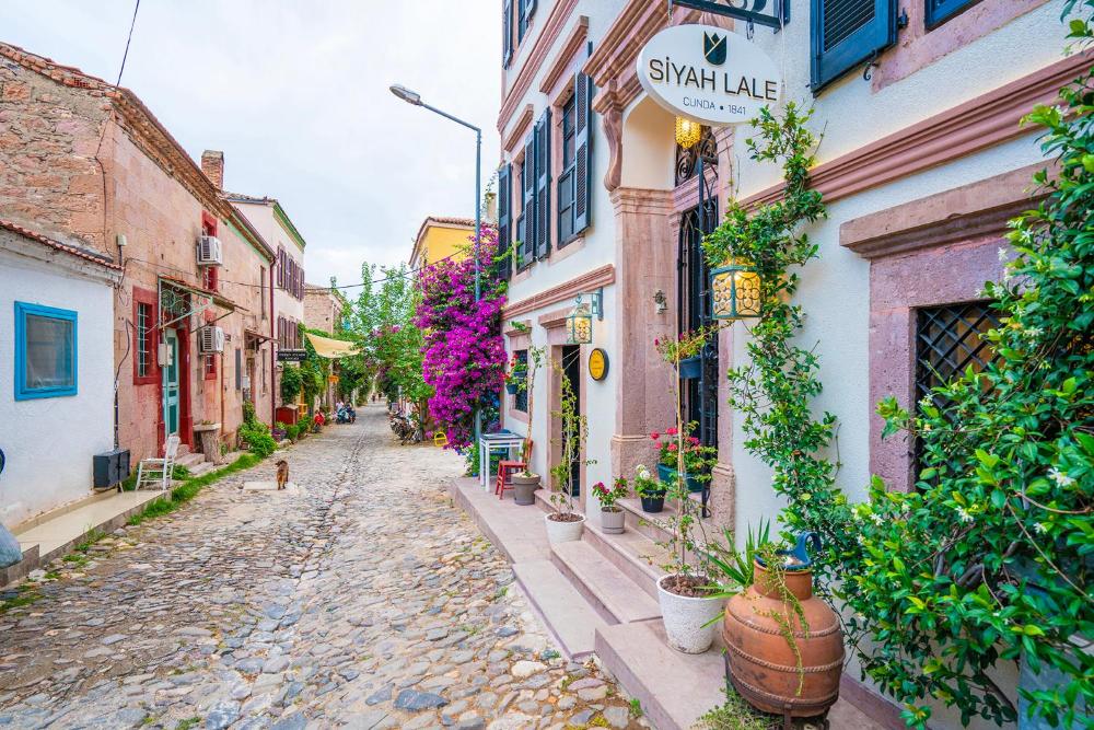 siyah lale otel cunda