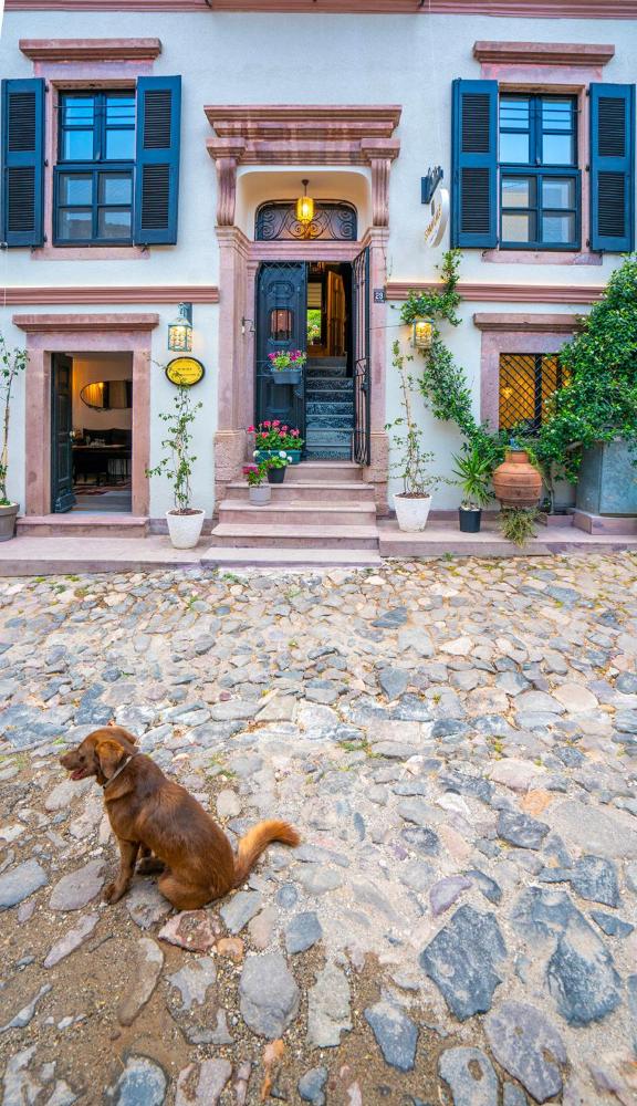 siyah lale otel cunda