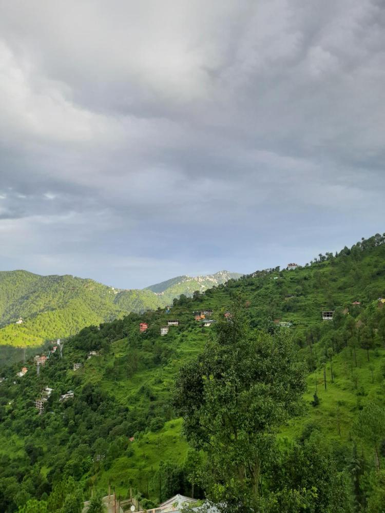 Sejal Homestay Shimla 