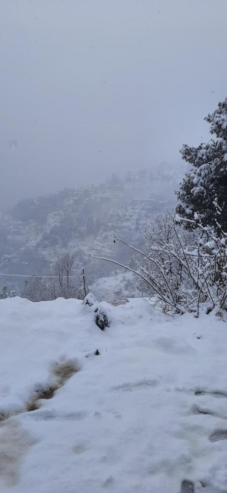 Sejal Homestay Shimla 